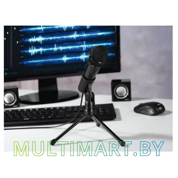 Микрофон Hama MIC-P35 Allround 00139905 картинка 3